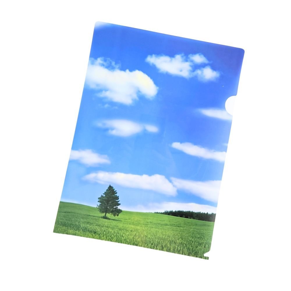KINARY ΖΕΛΑΤΙΝΗ ΤΥΠΟΥ "L" Α4 NATURE